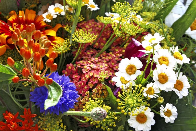 Positive Posies for Mom