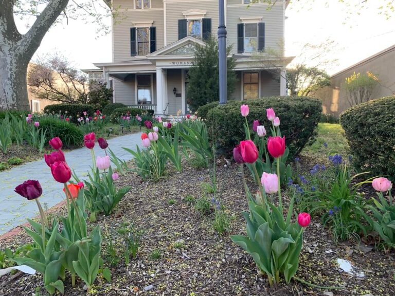 Bubbles, Blooms & Bingo