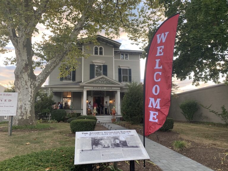 Celebrating National Business Women’s Week